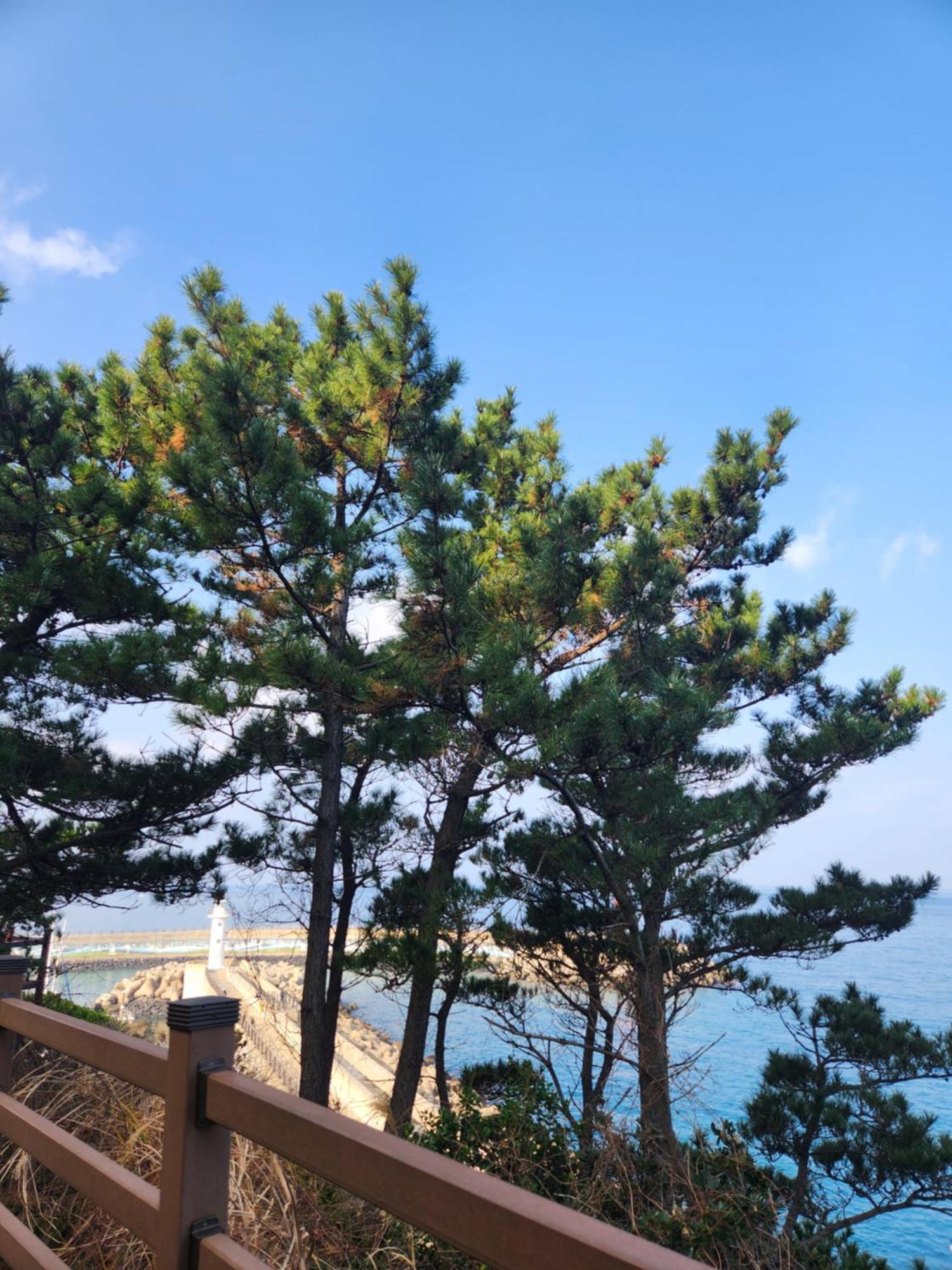 Bada Village Minbak Jeju Luaran gambar